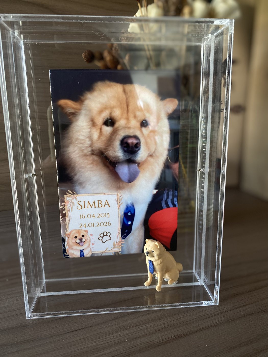 Quadro Simba